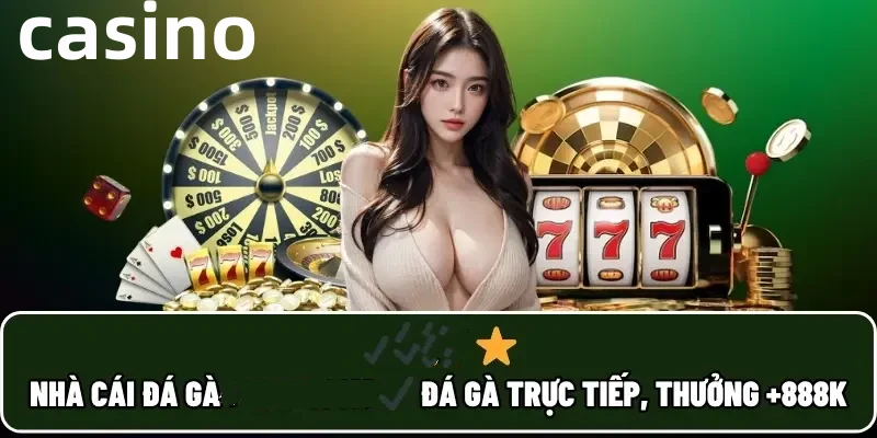 yo88
